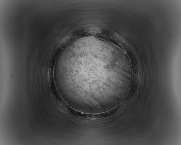 X0000085830704200703231420