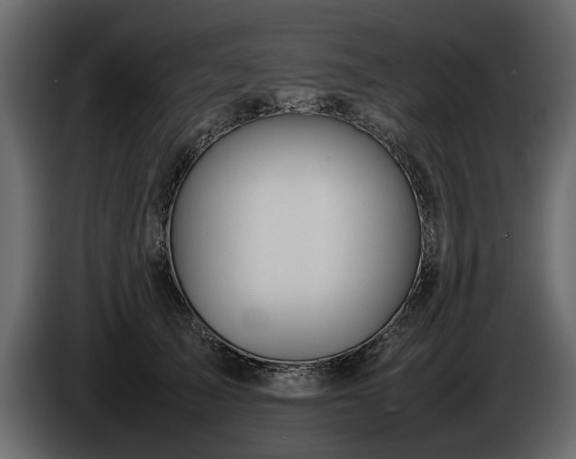 X0000085830705200703231420