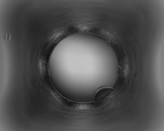 X0000085830710200703231420