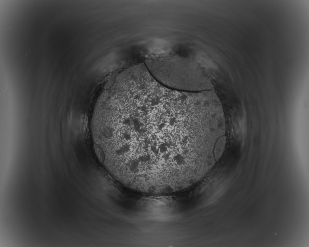 X0000085830711200703231420