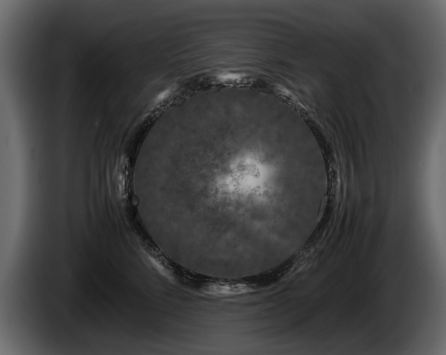 X0000085830712200703231420