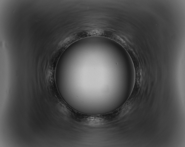 X0000085830714200703231420