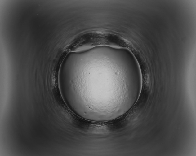 X0000085830715200703231420