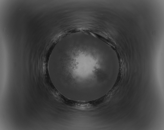 X0000085830716200703231420