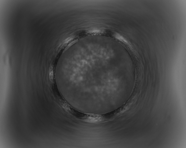 X0000085830720200703231420