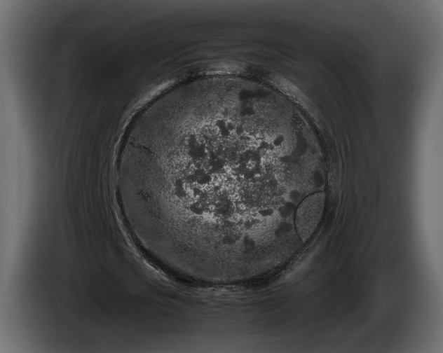 X0000085830721200703231419