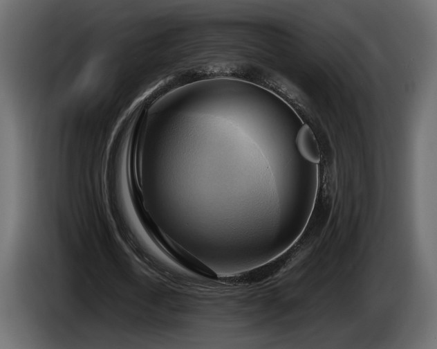 X0000085830722200703231419