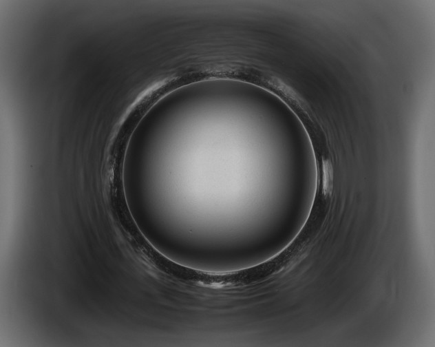 X0000085830723200703231419