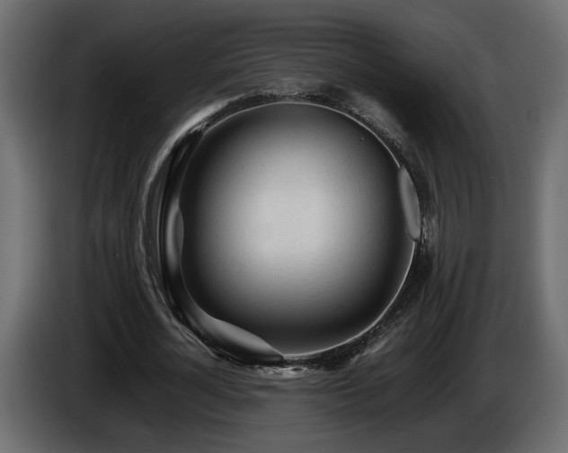 X0000085830724200703231419