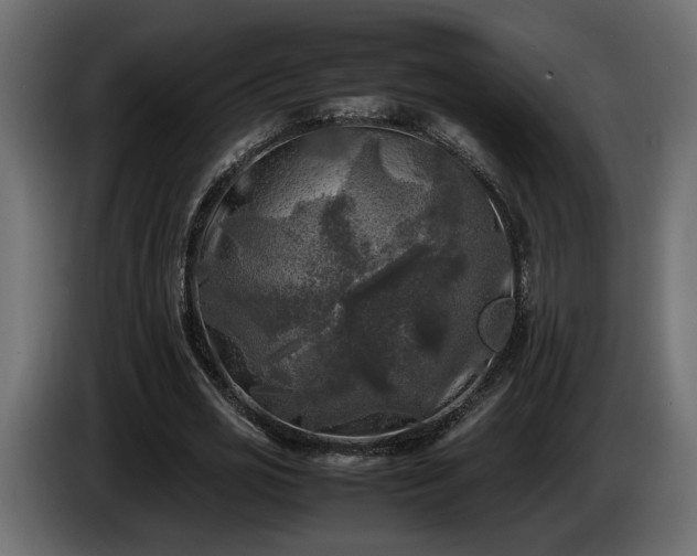 X0000085830725200703231419