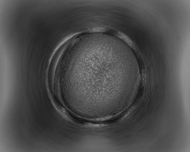 X0000085830726200703231419