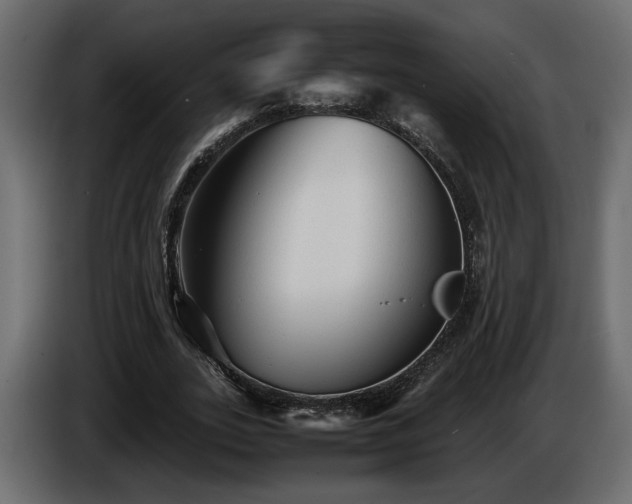 X0000085830727200703231419