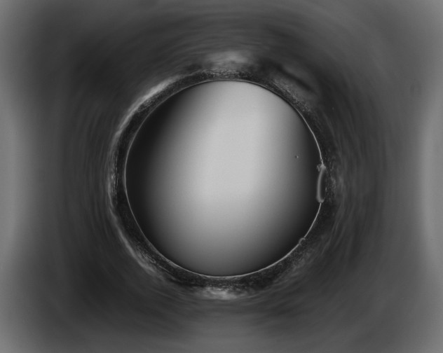 X0000085830728200703231419