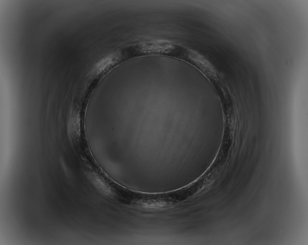 X0000085830729200703231419