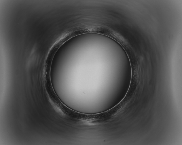 X0000085830730200703231419