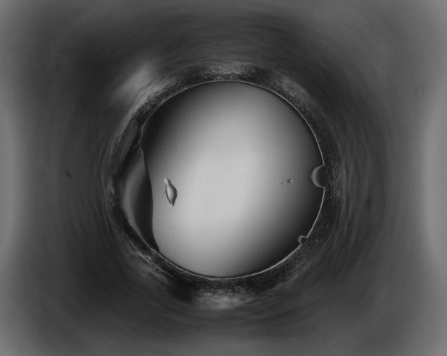 X0000085830731200703231419