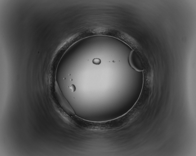 X0000085830732200703231419