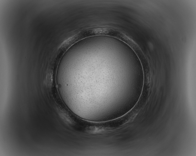 X0000085830733200703231419