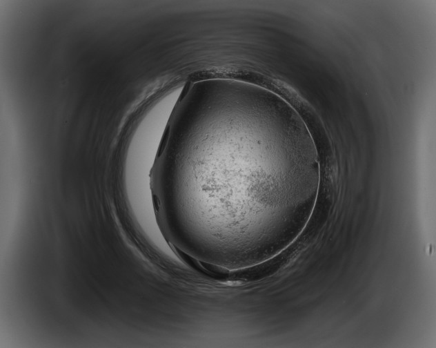 X0000085830734200703231419