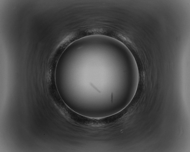 X0000085830735200703231419