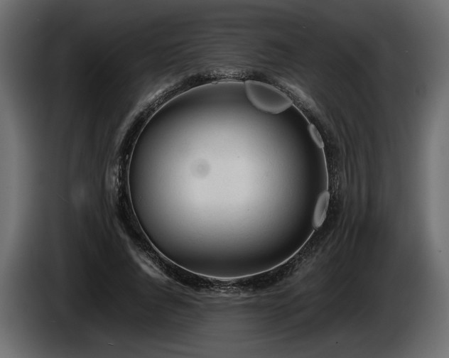 X0000085830736200703231419