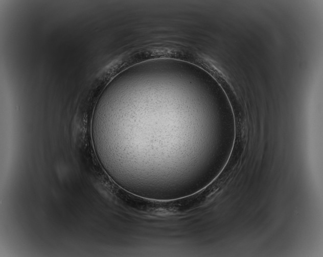 X0000085830737200703231419