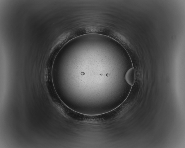 X0000085830738200703231419