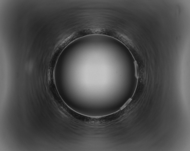 X0000085830740200703231420