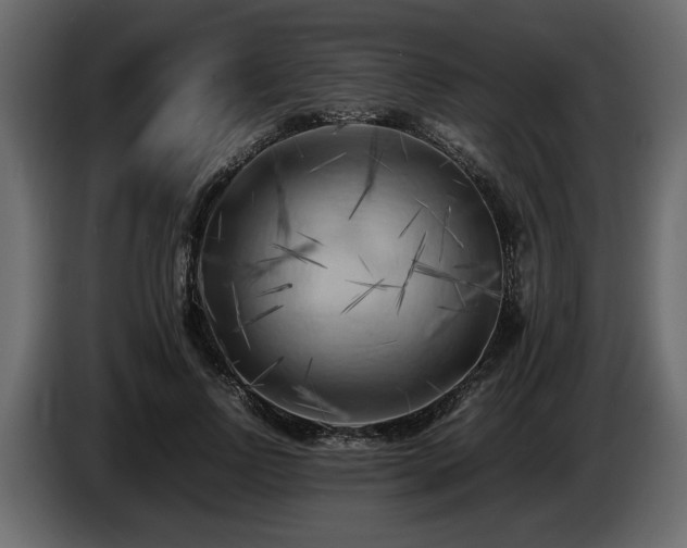 X0000085830742200703231420