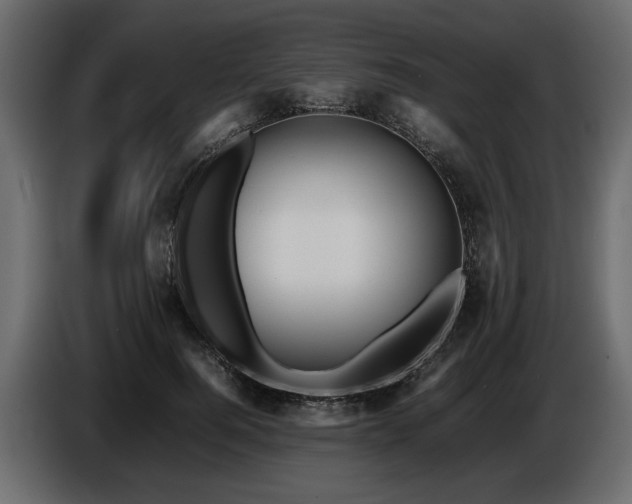 X0000085830744200703231420