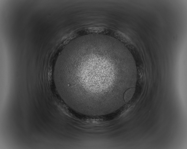 X0000085830745200703231420