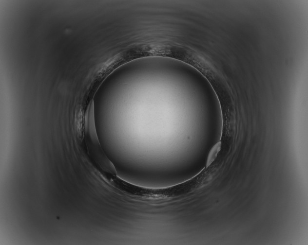 X0000085830748200703231420