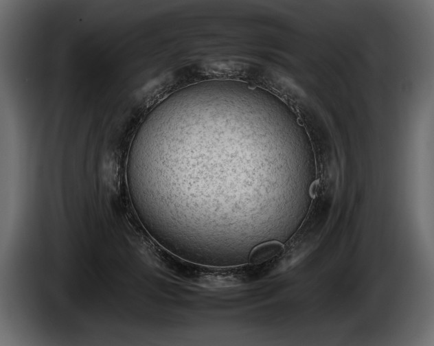 X0000085830749200703231420