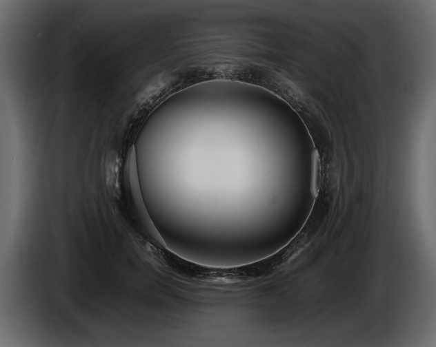 X0000085830750200703231420