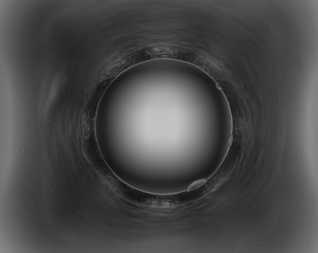 X0000085830751200703231420