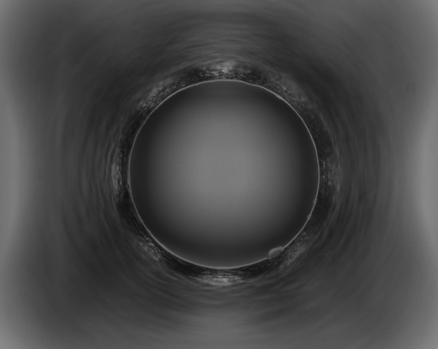 X0000085830754200703231420