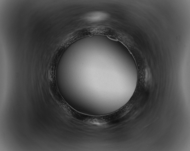 X0000085830755200703231420