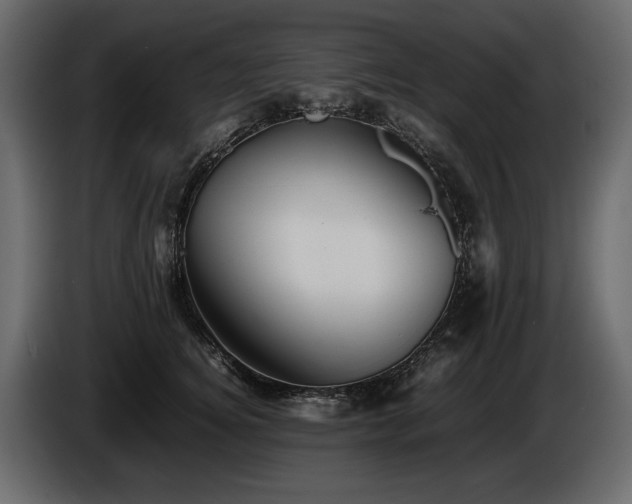 X0000085830756200703231420