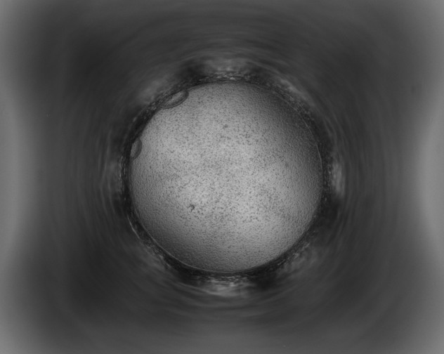 X0000085830757200703231420