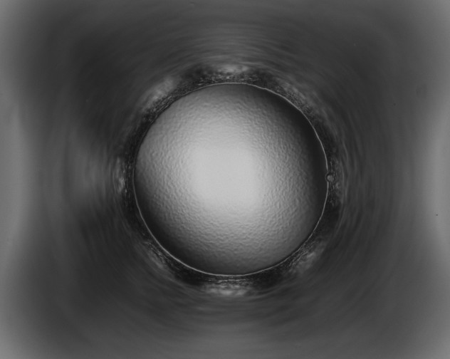 X0000085830758200703231420