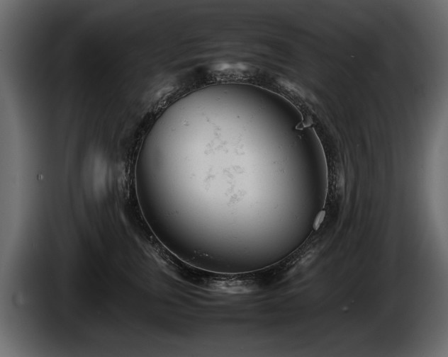 X0000085830759200703231420