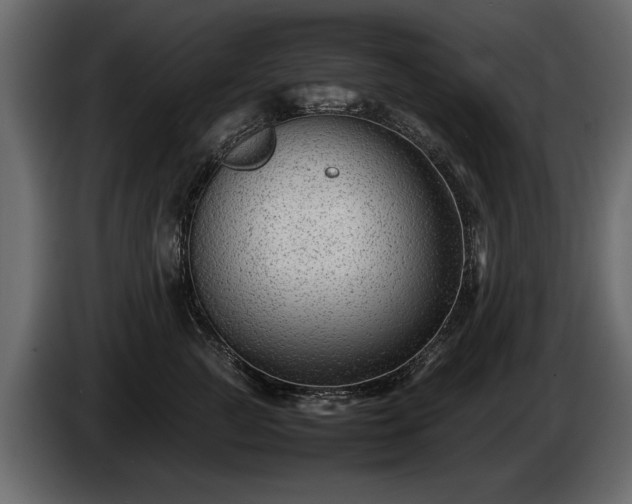 X0000085830761200703231420