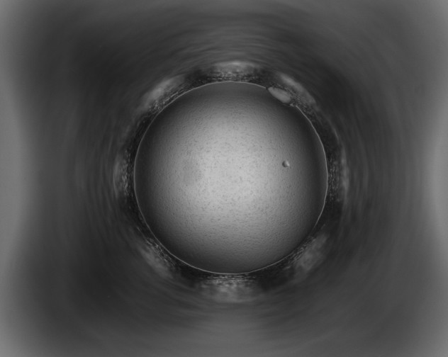 X0000085830762200703231420