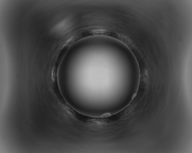 X0000085830763200703231420