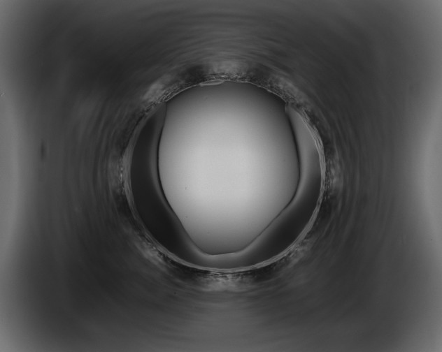 X0000085830764200703231420