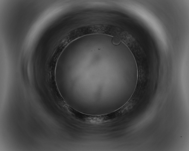 X0000085830765200703231420