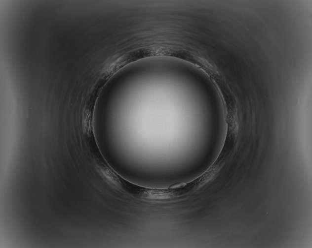 X0000085830766200703231420