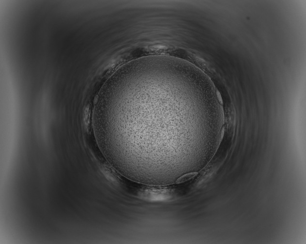 X0000085830767200703231420