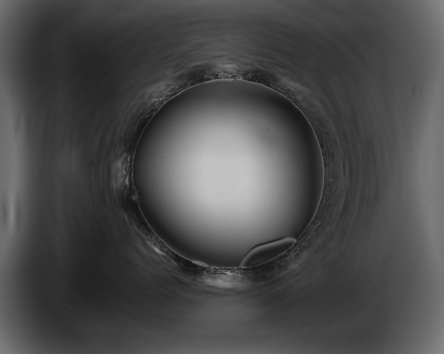 X0000085830768200703231420