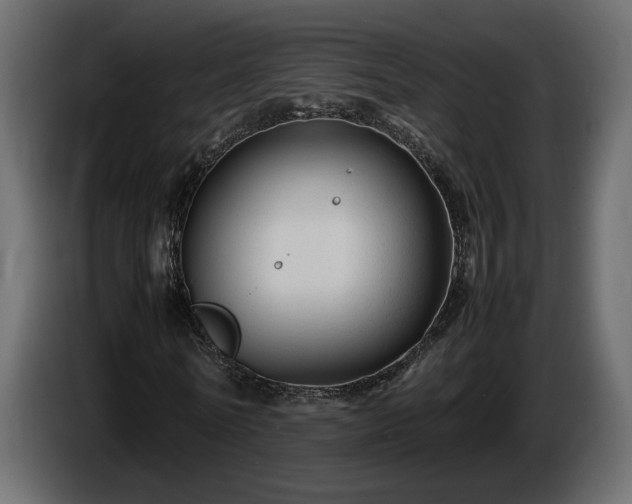 X0000085830770200703231419